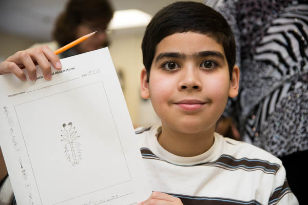 A Holyoke student illustrates dragonfly larvae.