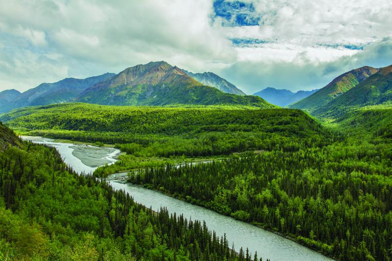 EM_what would nature do