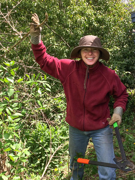 Mary Caris prunes plants in the gardens.