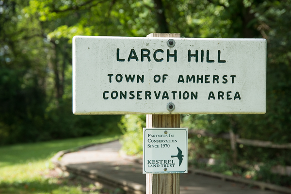 larch hill sign