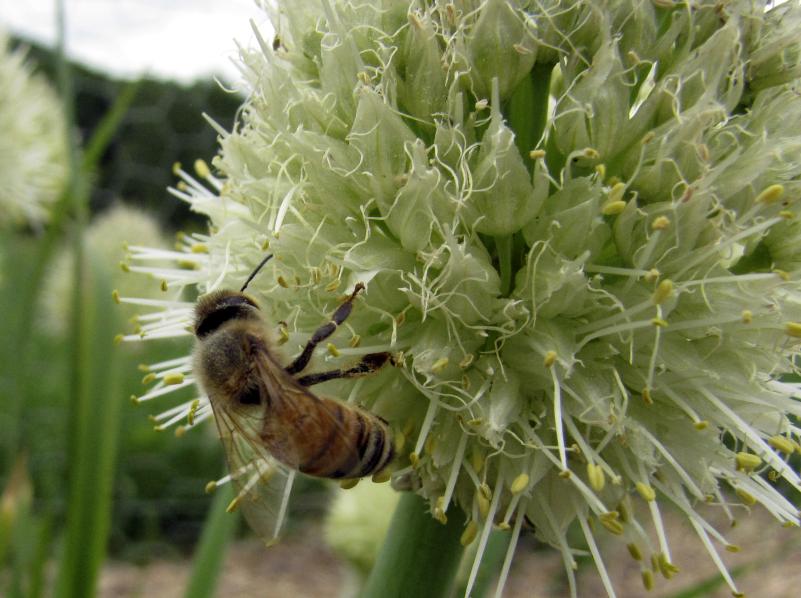 Photo by Rebecca Reid 