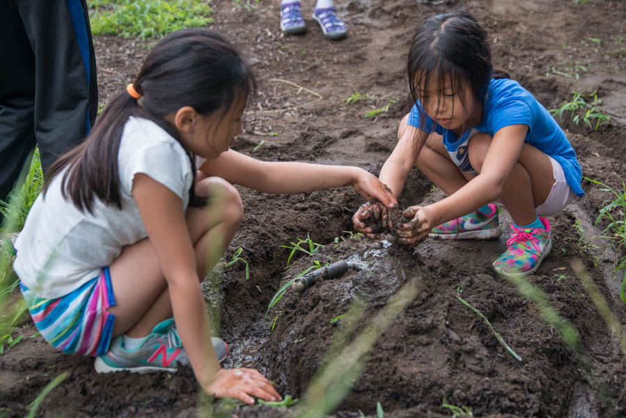 Hitchcock Center for the Environment Education for a Healthy
