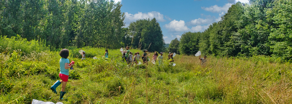 Summer Camp Field