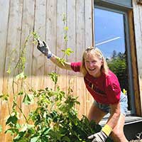 Become a volunteer