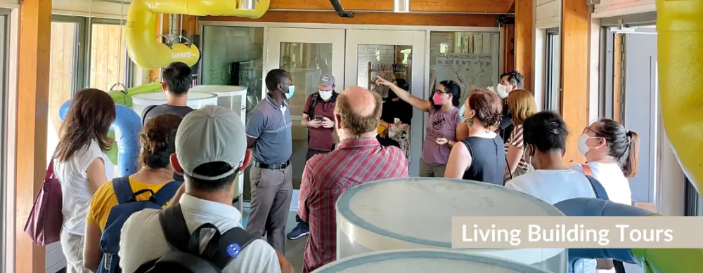 Website-Homepage-Photos-1000x389_c