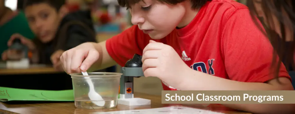 Website-Homepage-Photos-3-1000x389_c