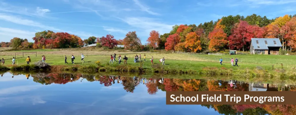 Website-Homepage-Photos-5-1000x389_c