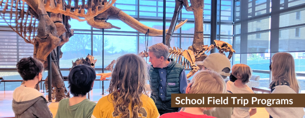 Website Homepage Photos (12)