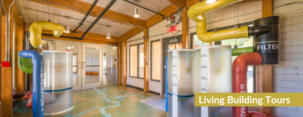 Website Homepage Photos (13)